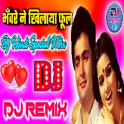 Bhawre Ne Khilaya Phool - (Prem Roge 1982 - Dj Remix Song) - Dj Tajuddin Aligarh